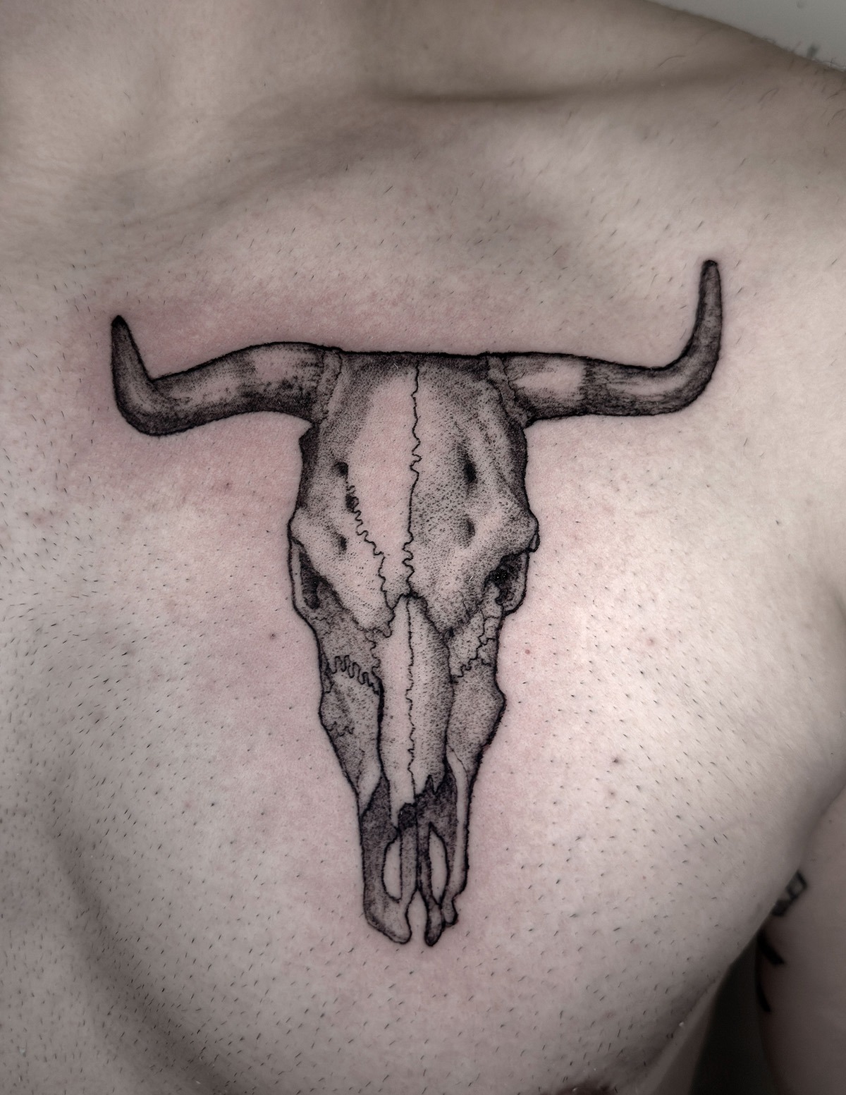 bison-skull-chest