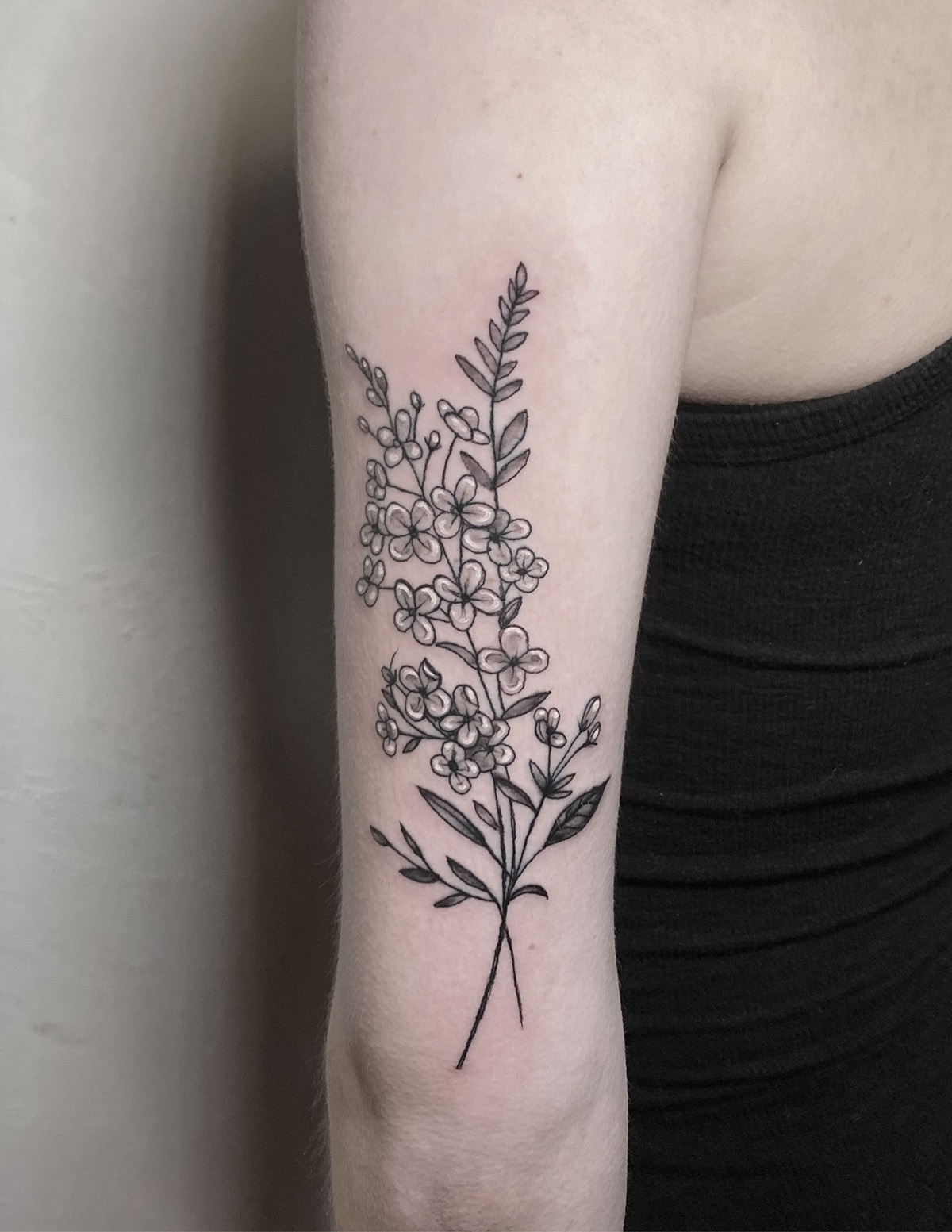 lilacs-back-of-arm_1200