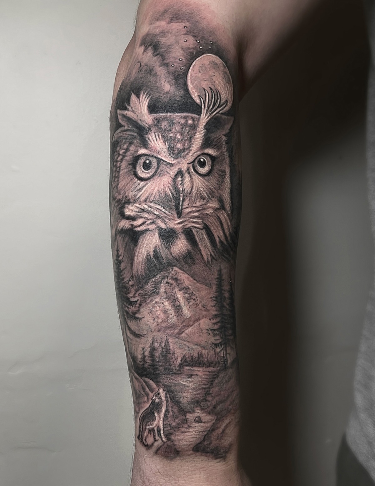owl-loon_1200