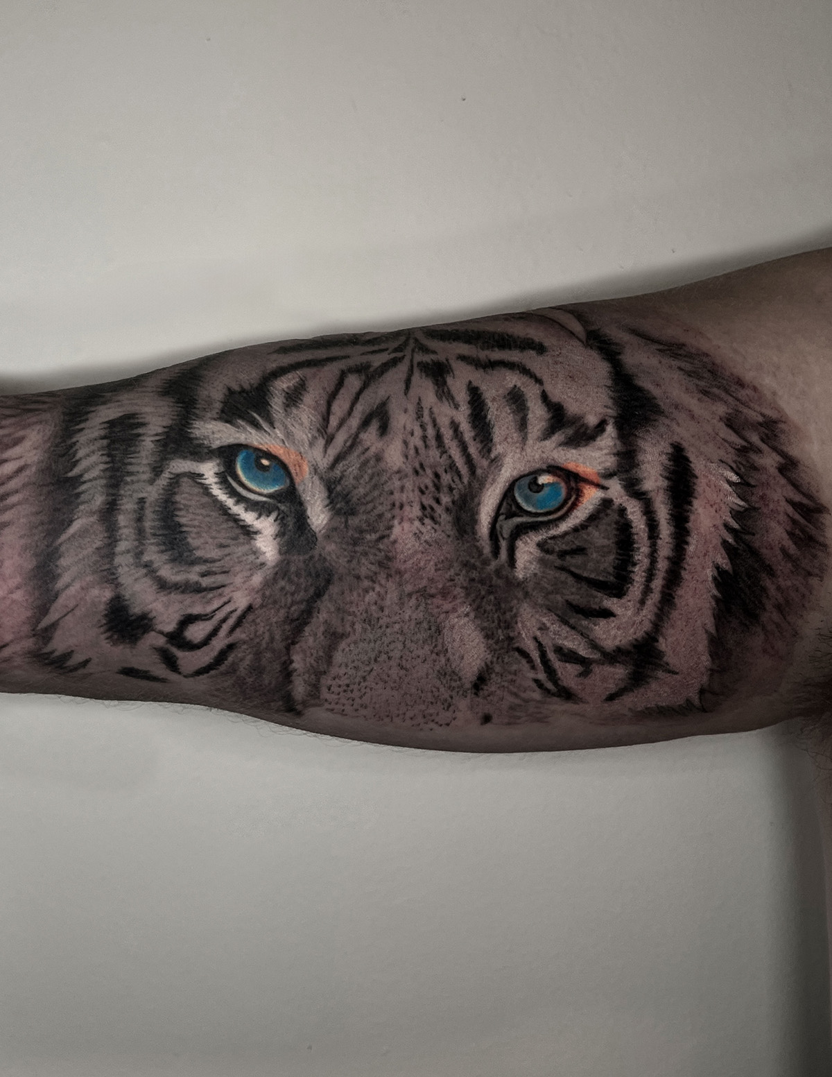tiger-inner-arm_1200
