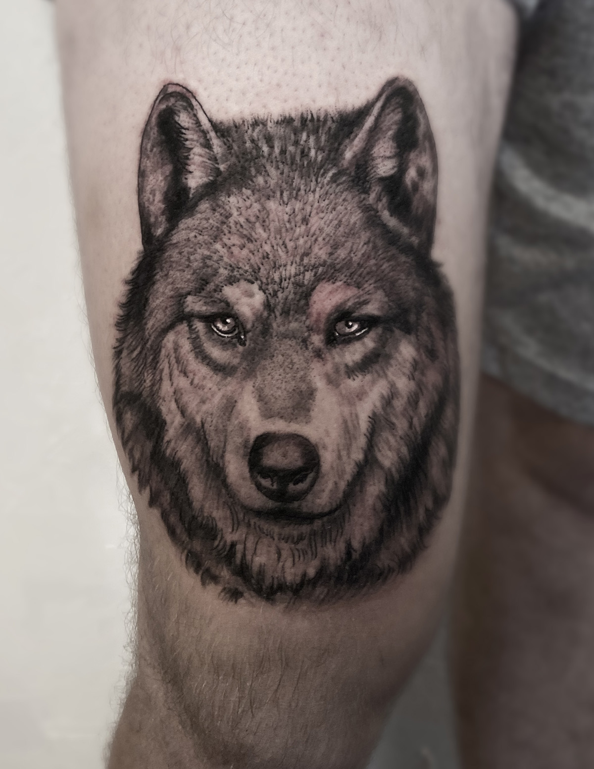 wolf_1200