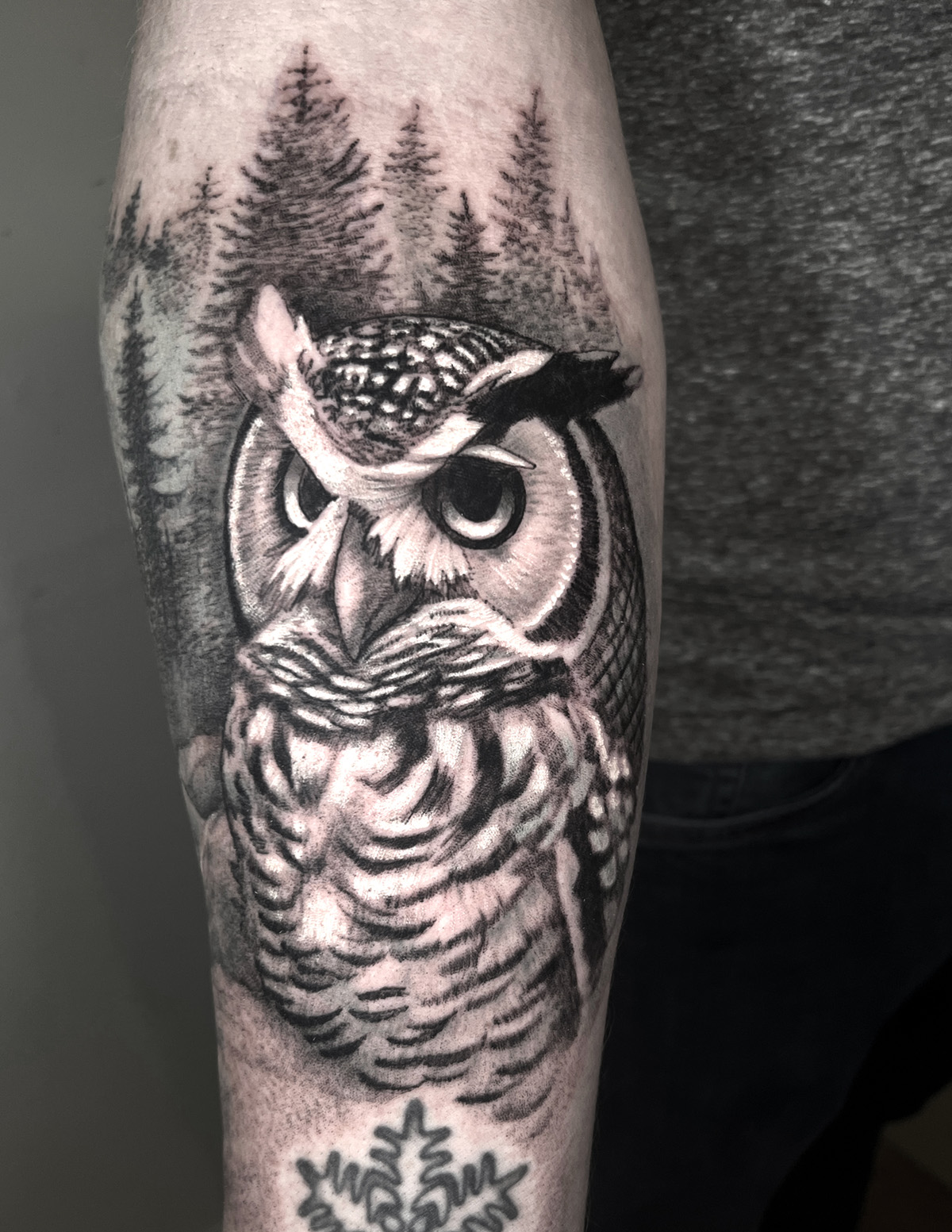 bear-owl-sleeve3_1200