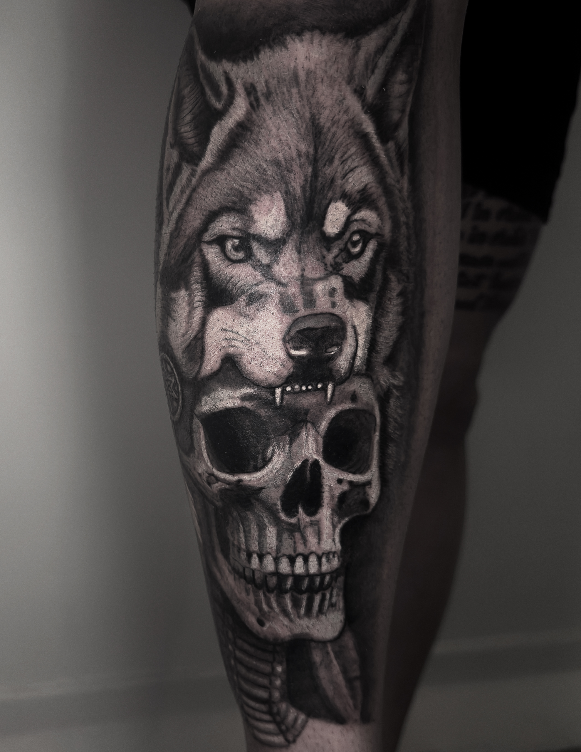 wolf-skull
